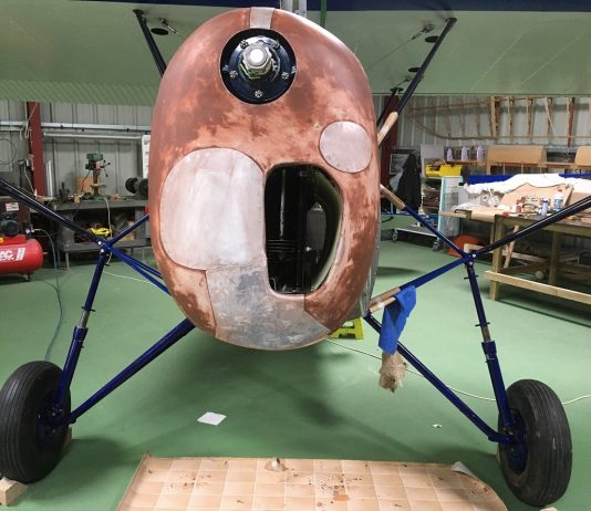 Calandre (ou plastron)